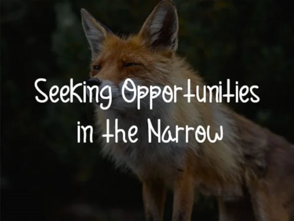 Cunning Fox Font by scriptstrategy — Script Handwritten Font — thumbnail 4