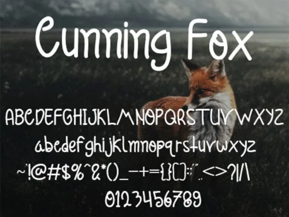 Cunning Fox Font by scriptstrategy — Script Handwritten Font — thumbnail 5