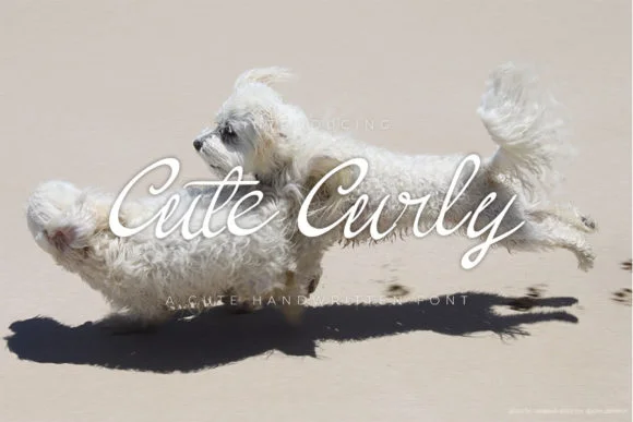 Cute Curly Font by Creassion Studio — Script Handwritten Font
