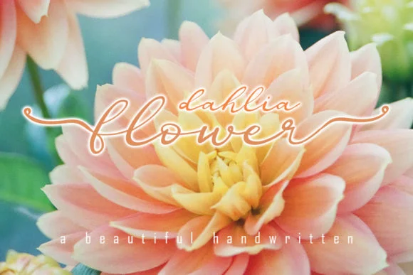 Dahlia Flower Font by muhawk47 — Script Handwritten Font