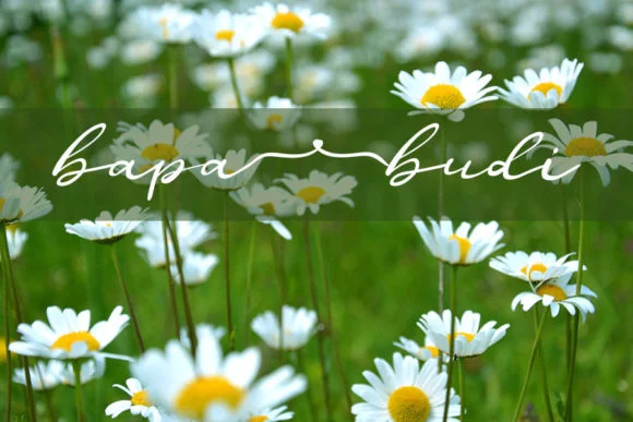 Dahlia Flower Font by muhawk47 — Script Handwritten Font — thumbnail 2