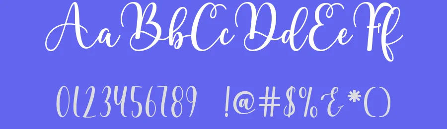 Daisy by Fillo Graphic — Script Handwritten Font — thumbnail 3