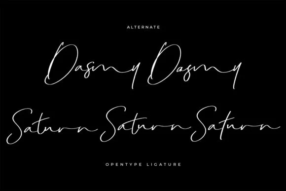 Dakmy Font by Maulana Creative — Script Handwritten Font — thumbnail 2