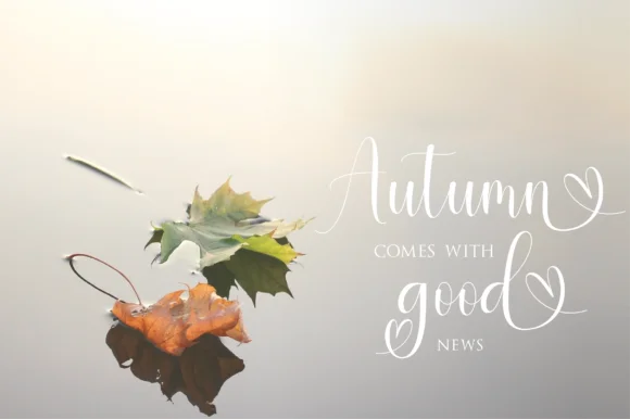 Daniyah Font by fanastudio — Script Handwritten Font — thumbnail 4