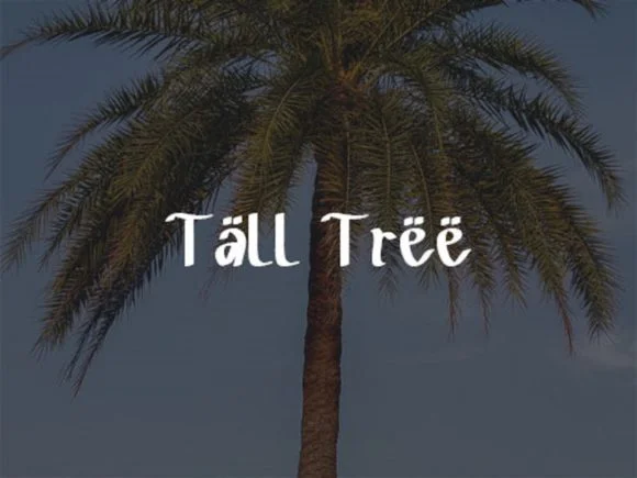 Date Palm Tree Font by scriptstrategy — Script Handwritten Font — thumbnail 3