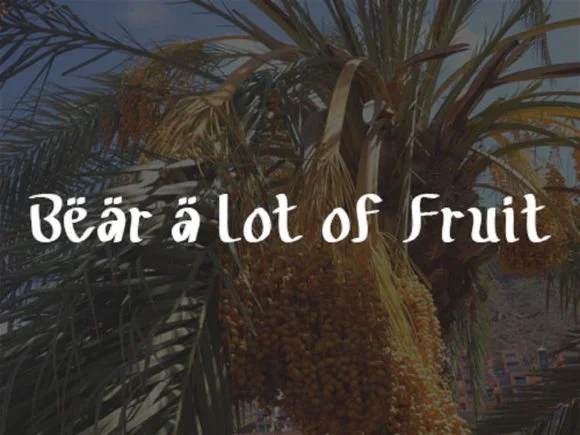 Date Palm Tree Font by scriptstrategy — Script Handwritten Font — thumbnail 4