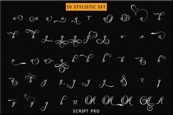 Dayton Script Font by Stellar Studio — Wedding Font — thumbnail 6