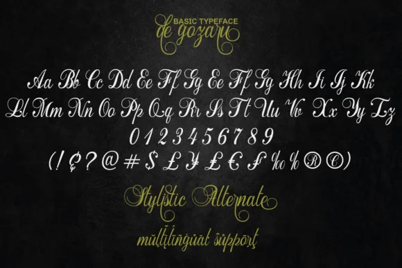 De Gozaru Font by bijeh.studio — Script Handwritten Font — thumbnail 6