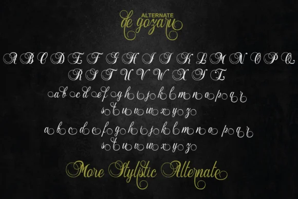 De Gozaru Font by bijeh.studio — Script Handwritten Font — thumbnail 7