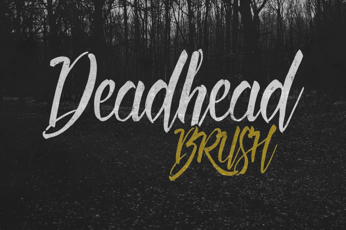 Deadhead Brush Font by Fontdation β Script Handwritten Font