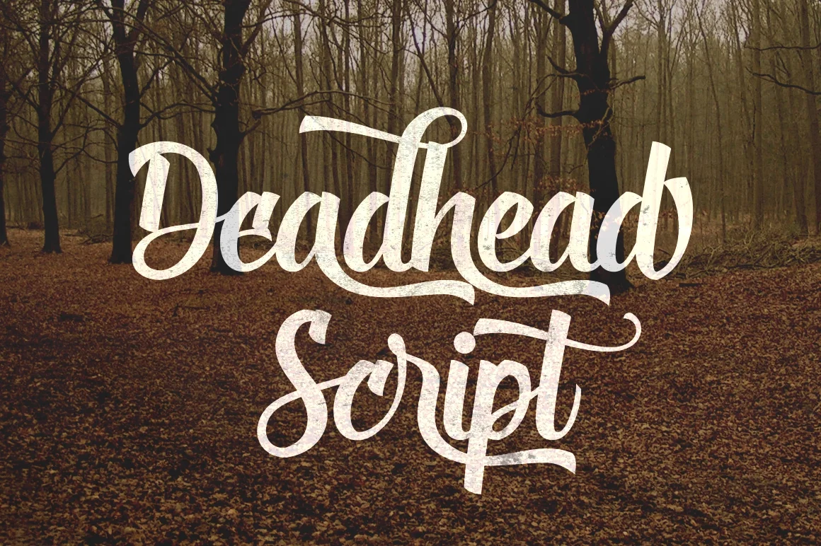 Deadhead Script Font by Fontdation — Script Handwritten Font
