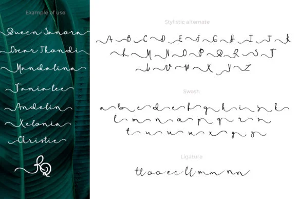 Deanisa Font by Gie Studio — Script Handwritten Font — thumbnail 7