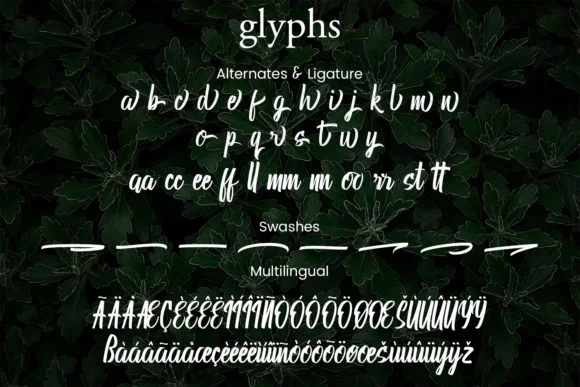 Debuar Font by Mytype Studio — Script Handwritten Font — thumbnail 2