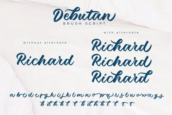 Debutan Font by Debut Studio — Script Handwritten Font — thumbnail 9