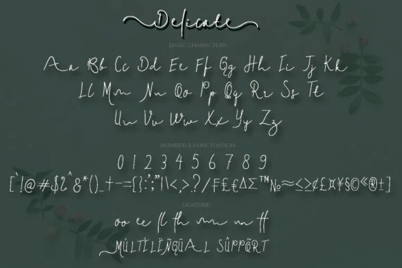 Delicate Font by Gie Studio — Script Handwritten Font — thumbnail 8