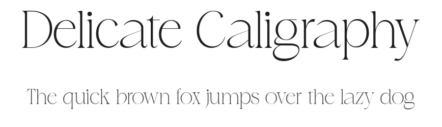 Delicate Caligraphy