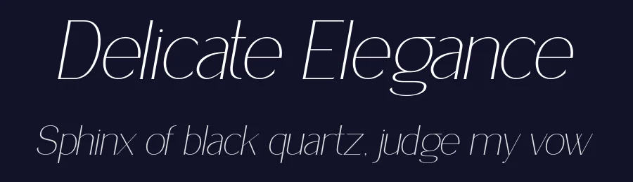 Delicate Elegance by Muhammad Yafinuha — Serif Font — thumbnail 2
