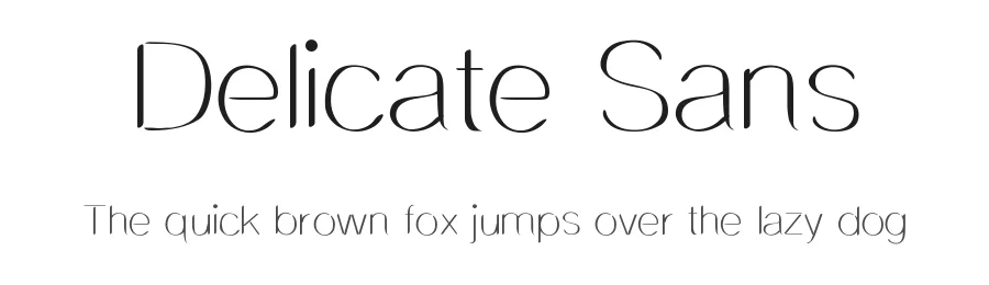 Delicate Sans by Shara Weber — Decorative Font