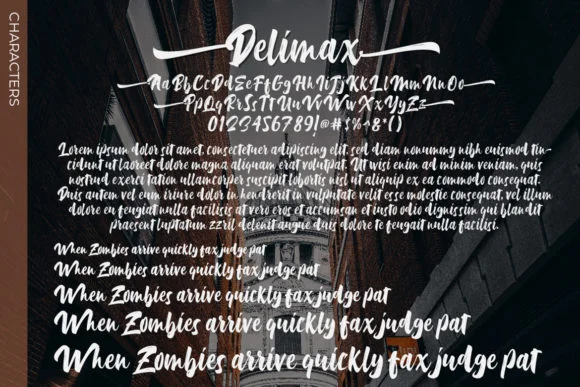 Delimax Font by Debut Studio — Script Handwritten Font — thumbnail 6