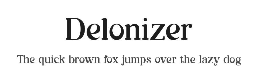 Delonizer