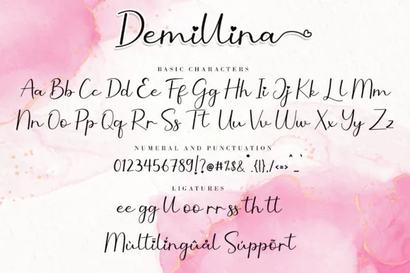 Demillina Font by AEN Creative Studio — Script Handwritten Font — thumbnail 9