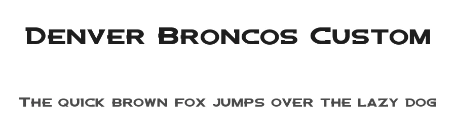 Denver Broncos Custom