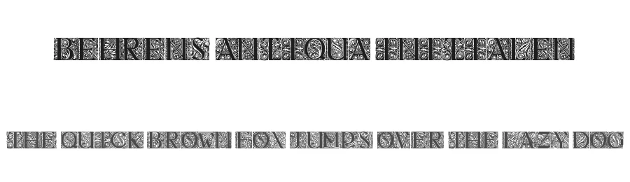 Behrens Antiqua Initialen by Typo-Graf — Display Font