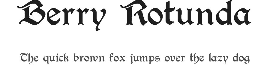 Berry Rotunda by Typo-Graf — Display Font