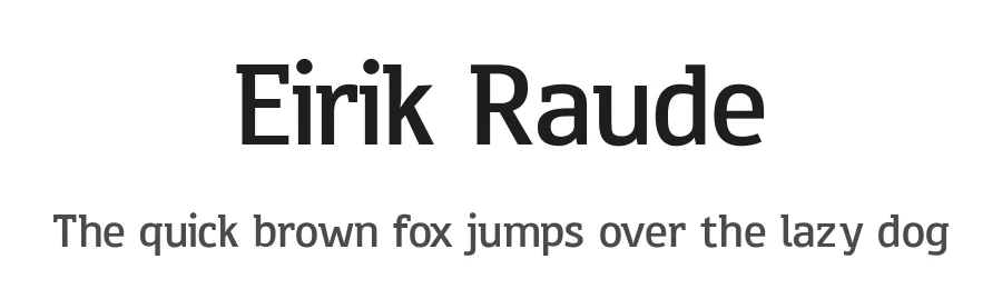 Eirik Raude by Peter Wiegel β Sans Serif Font