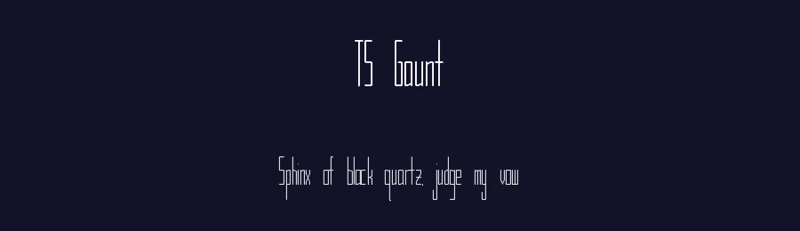 TS Gaunt by Joseph Chou — Sans Serif Font — thumbnail 2