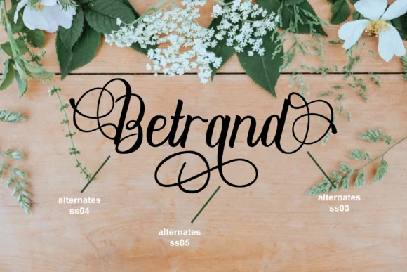 Dhelman Script Font by ahweproject — Script Handwritten Font — thumbnail 6
