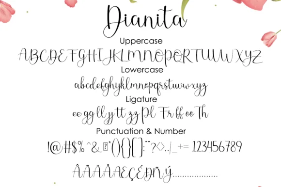 Dianita Font by Manjalistudio — Script Handwritten Font — thumbnail 9