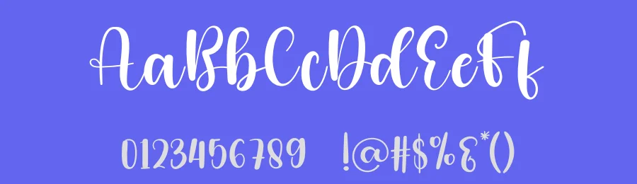 Diary Chrismas by PiPi Creative STUDIO — Script Handwritten Font — thumbnail 3