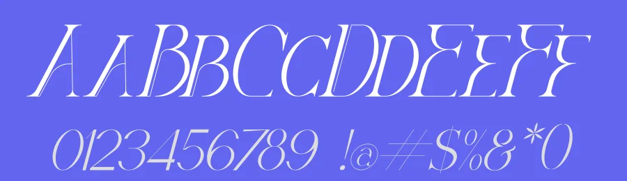 Diego by Storytype Studio — Decorative Font — thumbnail 3