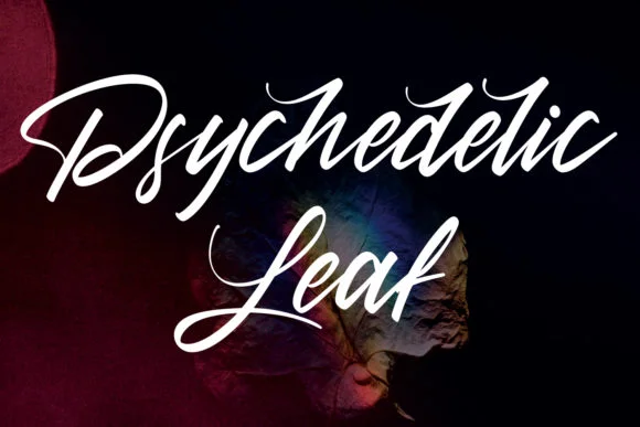 Diettersen Font by Maulana Creative — Script Handwritten Font — thumbnail 9