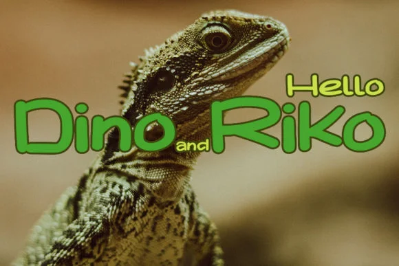 Dino Riko Font by muhawk47 — Script Handwritten Font