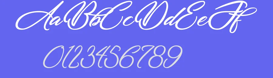 Dirty Bitch by Octotype  | Thomas Boucherie — Script Handwritten Font — thumbnail 3