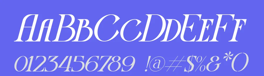 Display Magazine by Storytype Studio — Serif Font — thumbnail 3
