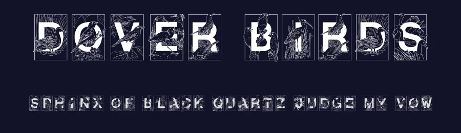 Dover Birds by Toto — Decorative Font — thumbnail 2