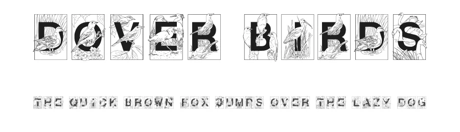 Dover Birds