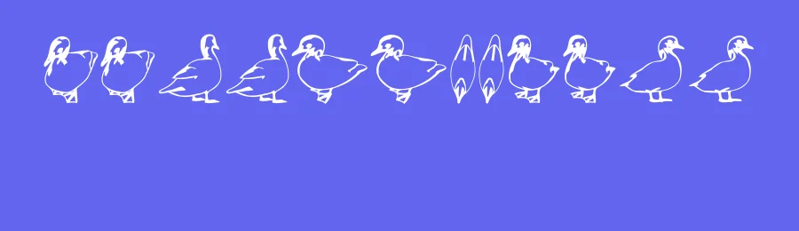 Duck by Vladimir Nikolic — Dingbats Font — thumbnail 3