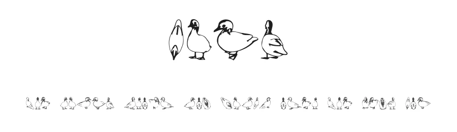 Duck by Vladimir Nikolic — Dingbats Font