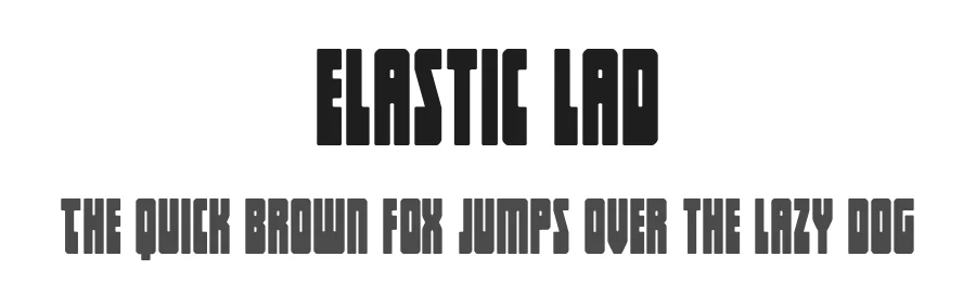 Elastic Lad