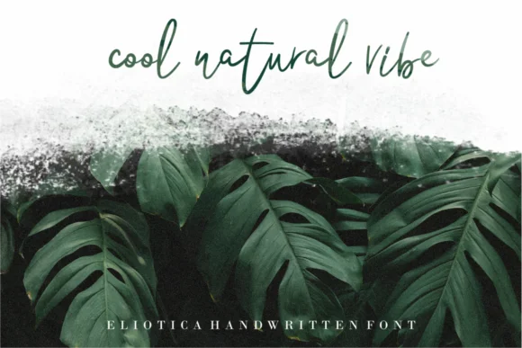 Eliotica Font by 24Design Studios — Script Handwritten Font — thumbnail 5
