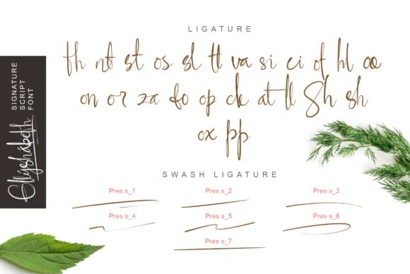 Ellyshabeth Font by DLetters.std — Script Handwritten Font — thumbnail 8