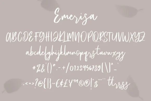 Emerisa Font by Maulana Creative — Script Handwritten Font — thumbnail 2