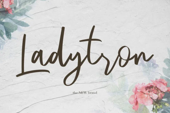Emerisa Font by Maulana Creative — Script Handwritten Font — thumbnail 8