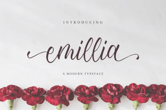 Emillia Font by fanastudio — Script Handwritten Font