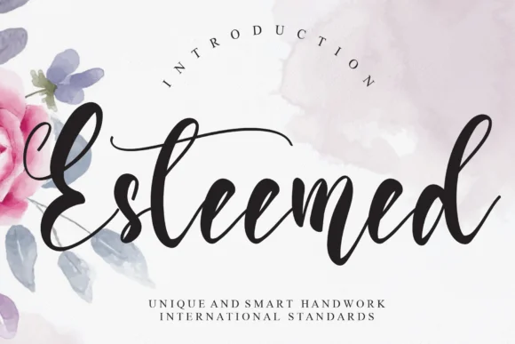 Esteemed Font by Misterletter.co — Script Handwritten Font