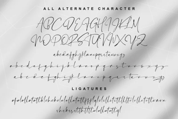 Estrada Signature Font by lemonthe — Script Handwritten Font — thumbnail 9